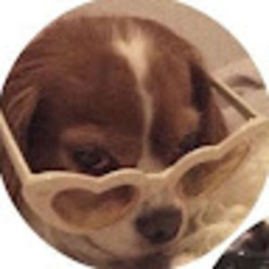 Meet your Posher, Allie